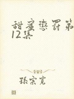 甜蜜惩罚第一季12集