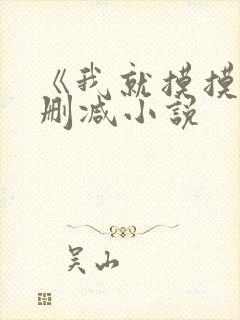 《我就摸摸》无删减小说