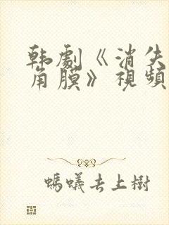 韩剧《消失的眼角膜》视频在线观看封面