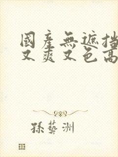 国产无遮挡又黄又爽又色高清无封面