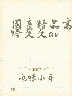国产精品高潮呻吟久久av