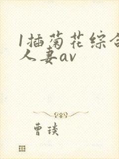 1插菊花综合网人妻av