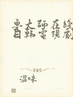 鲁大师在线播放日韩电视剧免费观看