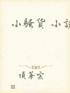 小骚货 小说