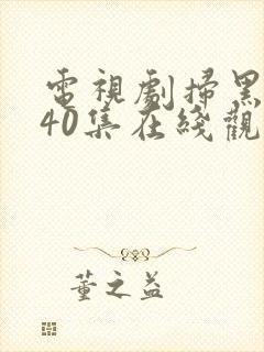 电视剧扫黑风暴40集在线观看免费完整版