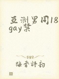 亚洲男同18 gay禁