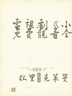 电视剧《小舅》免费观看全集高清