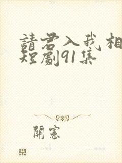 请君入我相思局短剧91集