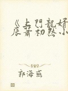 《上门龙婿》叶辰萧初然小说
