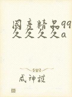 国产精品99久久久久久a