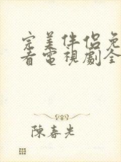 完美伴侣免费观看电视剧全集