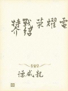 特战荣耀电视剧介绍