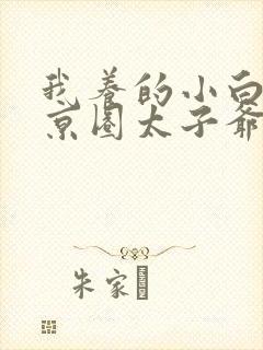 我养的小白脸是京圈太子爷免费