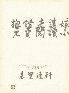 抱错老婆嫁对郎免费阅读小说