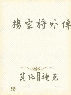 杨家将外传