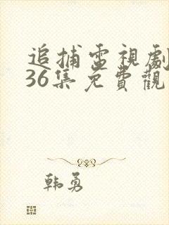 追捕电视剧全集36集免费观看