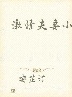 激情夫妻小说