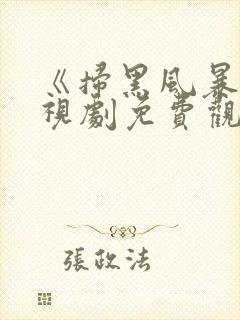 《扫黑风暴》电视剧免费观看完整版