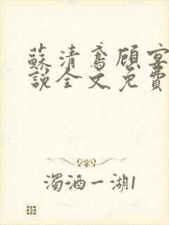 苏清鸢顾宴辰小说全文免费阅读全文封面