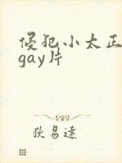 侵犯小太正裸体gay片
