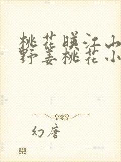 桃花映江山沈在野姜桃花小说全文免费阅读