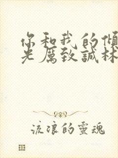 你和我的倾城时光厉致诚林浅