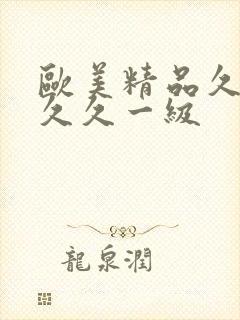 欧美精品久久久久久一级封面