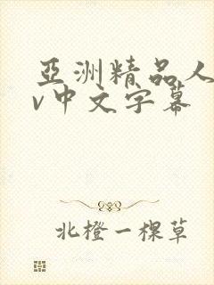 亚洲精品人妻av中文字幕