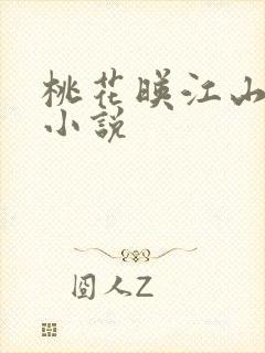 桃花映江山原著小说