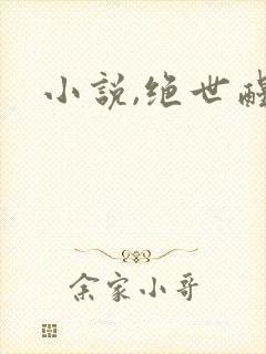 小说,绝世醒龙