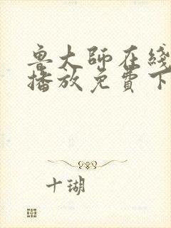 鲁大师在线视频播放免费下载封面