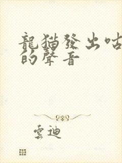 龙猫发出咕咕咕的声音