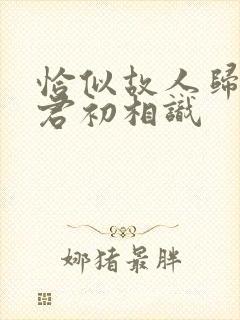 恰似故人归 与君初相识封面