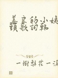 善良的小姨中字头歌词韩封面