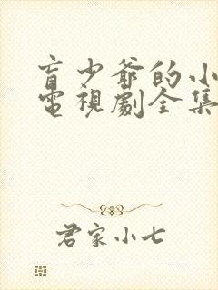 盲少爷的小女仆电视剧全集免费观看封面