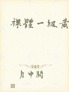 裸体一级黄色片封面