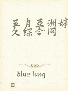 五月亚洲婷婷久久综合网