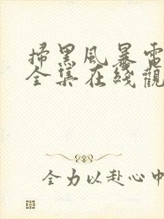 扫黑风暴电视剧全集在线观看免费封面