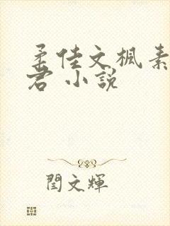 柔佳文枫素云雅君 小说