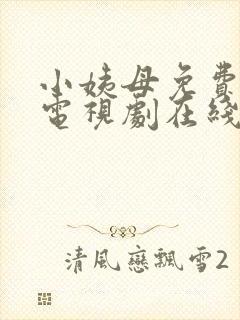小姨母免费完整电视剧在线观看国语封面