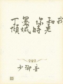 丁墨 你和我的倾城时光