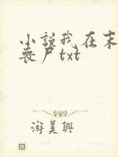 小说我在末世骑丧尸txt封面