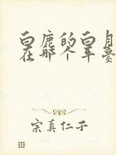 白鹿的白月梵星在哪个平台播出