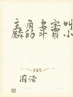 主角名字叫君天麟的斗罗小说