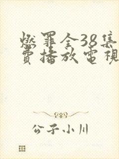 燃罪全38集免费播放电视剧大全