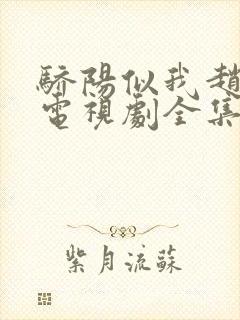 骄阳似我赵今麦电视剧全集免费观看19封面