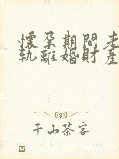 怀孕期间老公出轨离婚财产分割