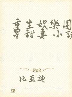 重生娱乐圈之巨星甜妻 小说