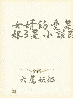 女婿的爱是丈母娘3是小说改编吗