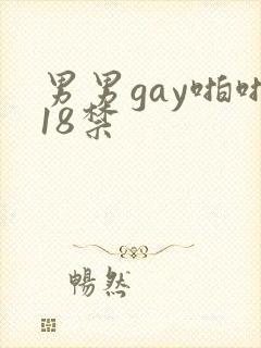 男男gay啪啪18禁